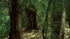 Остаться в Живых 2 сезон 9 серия