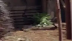 Остаться в Живых 6 сезон 6 серия